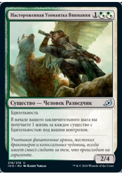 Настороженная Узомантка Внимания