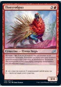 Попугобраз