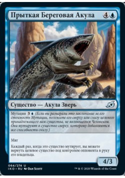 Прыткая Береговая Акула