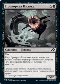 Проворная Пиявка