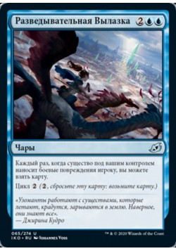 Разведывательная Вылазка