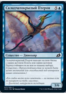 Складчатокрылый Птерон