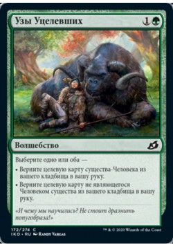 Узы Уцелевших