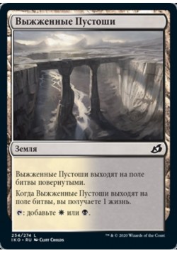 Выжженные Пустоши