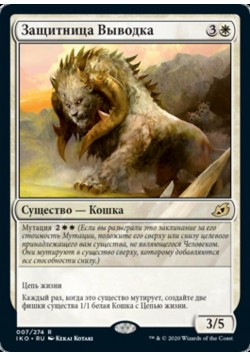 Защитница Выводка