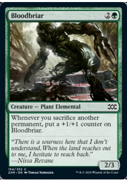 Bloodbriar