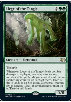 Liege of the Tangle