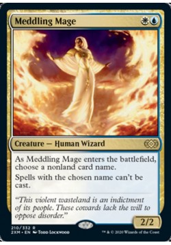 Meddling Mage