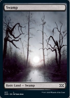 Swamp