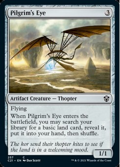 Pilgrim's Eye