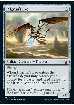 Pilgrim's Eye