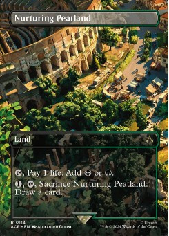 Nurturing Peatland