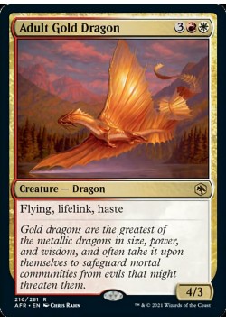 Adult Gold Dragon