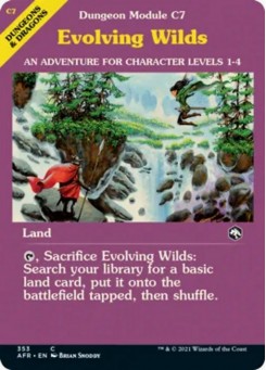 Evolving Wilds