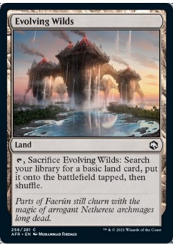 Evolving Wilds