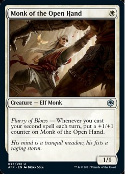 Monk of the Open Hand