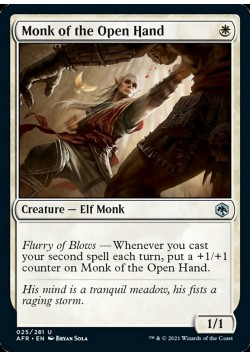 Monk of the Open Hand