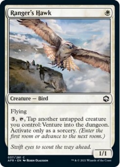 Ranger's Hawk