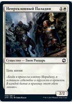 Непреклонный Паладин