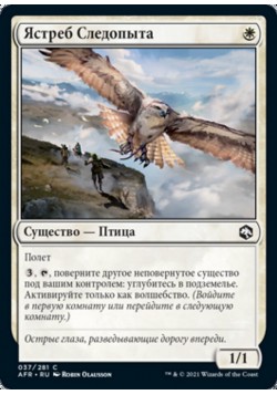 Ястреб Следопыта