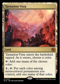 Tarnation Vista