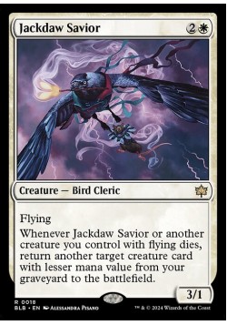 Jackdaw Savior