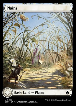 Plains