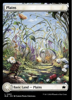Plains