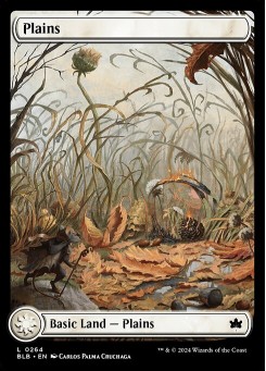 Plains