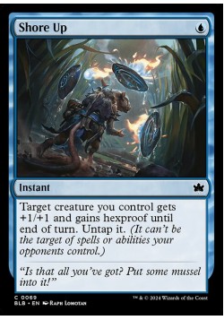 Shore Up