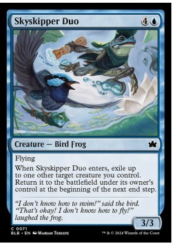 Skyskipper Duo