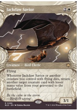 Jackdaw Savior