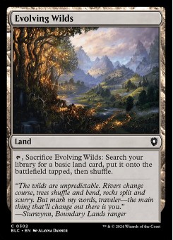 Evolving Wilds