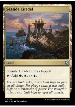 Seaside Citadel