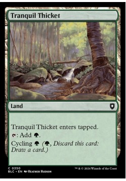 Tranquil Thicket