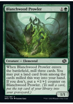 Blanchwood Prowler