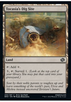 Tocasia's Dig Site