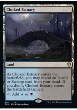 Choked Estuary