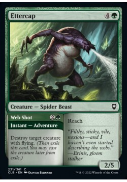 Ettercap // Web Shot