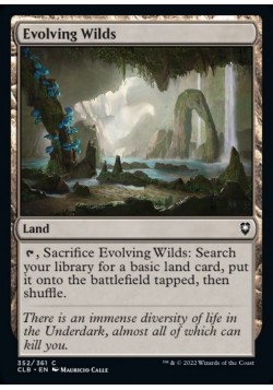 Evolving Wilds