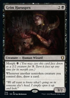 Grim Haruspex