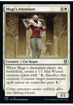 Mage's Attendant