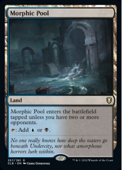 Morphic Pool