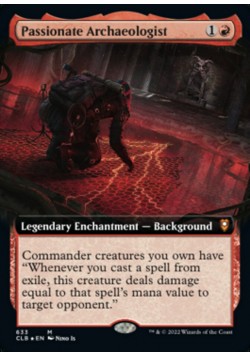 Passionate Archaeologist