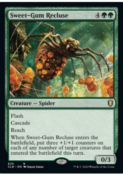Sweet-Gum Recluse