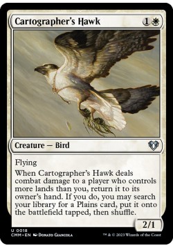 Cartographer's Hawk