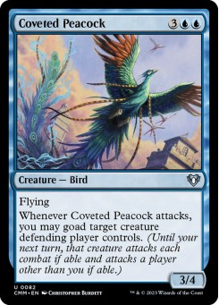 Coveted Peacock