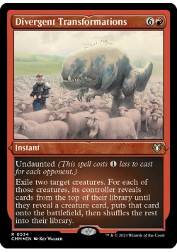 Divergent Transformations