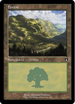 Forest