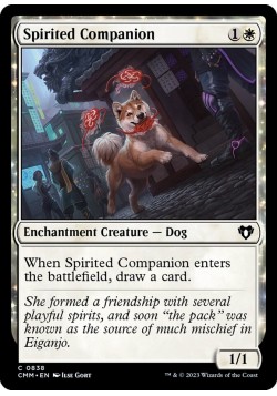 Spirited Companion